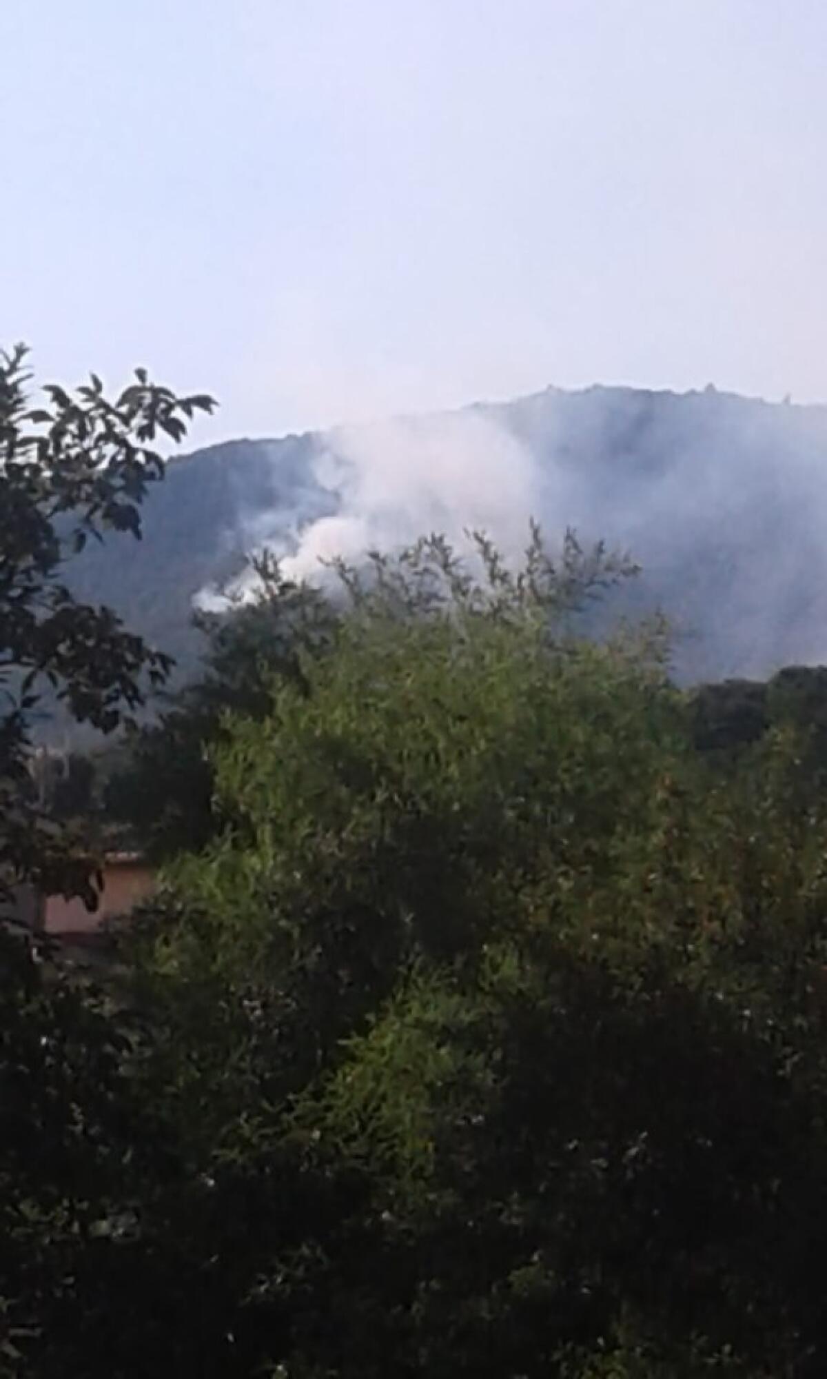 Incendio doloso sul Monte Artemisio a Velletri, si indaga - 