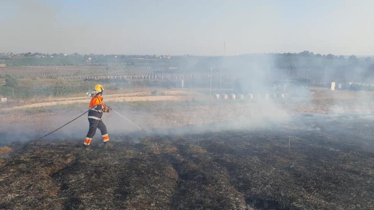 Grosso incendio minaccia il canile di Velletri, prezioso intervento della Protezione Civile - 