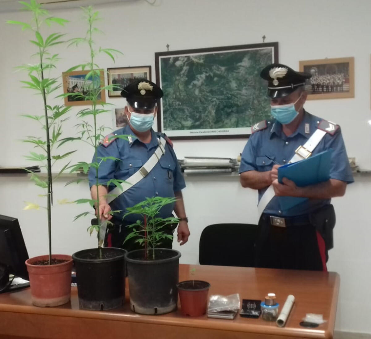Roccagorga, recuperate 5 piante di marijuana: 54enne in arresto - 