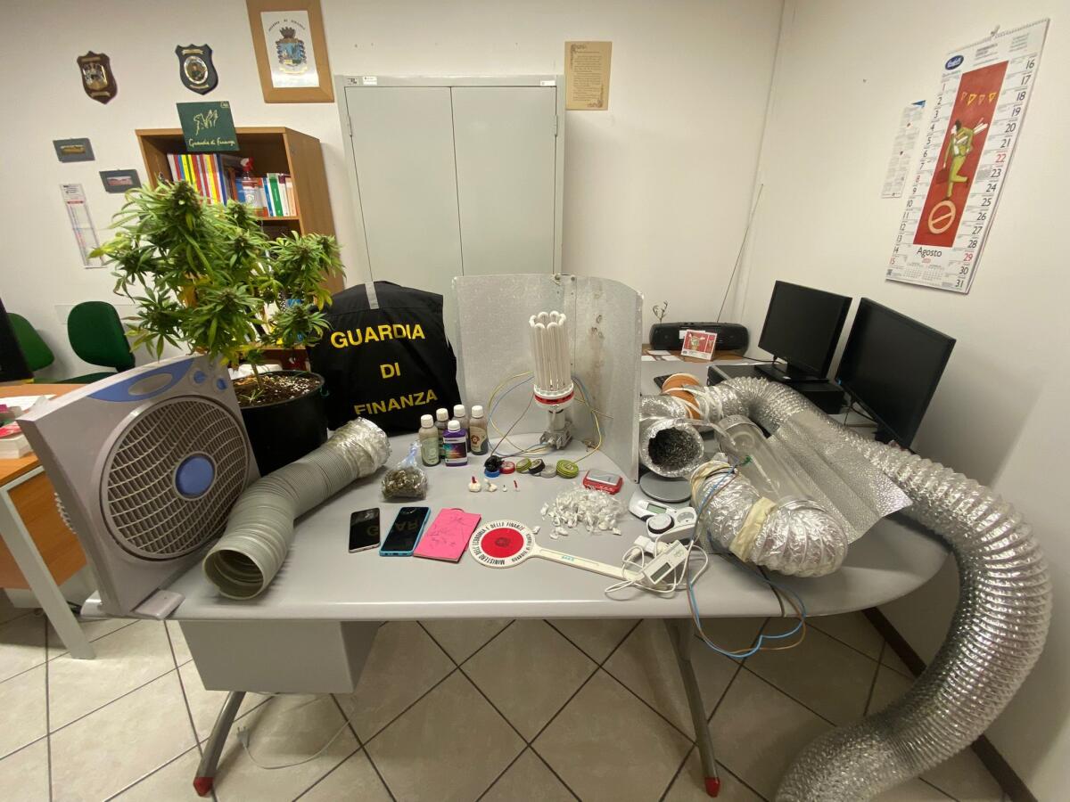 Deteneva quasi due etti di droga in casa: un 37enne di Aprilia arrestato dalla Guardia di Finanza. - 