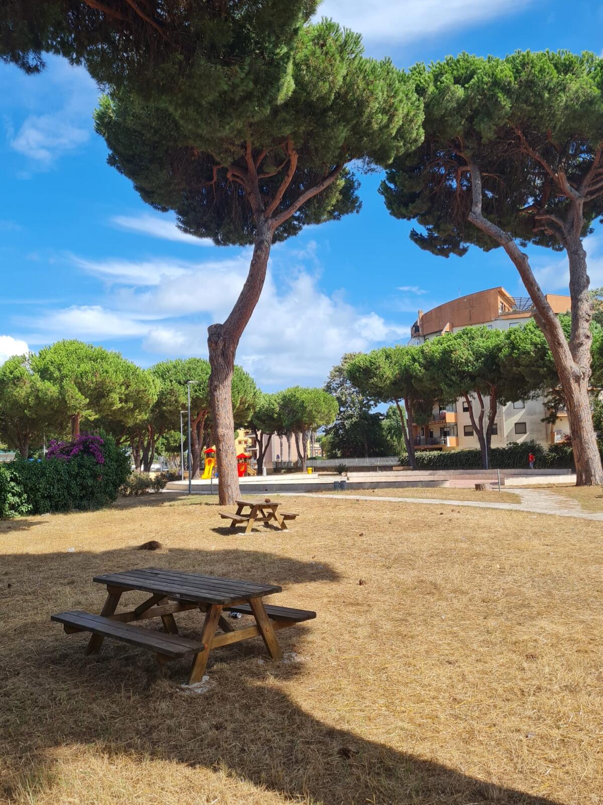 Ultimato il primo intervento di restyling al  parco pubblico della Pineta Mazza ad Anzio Due. - 