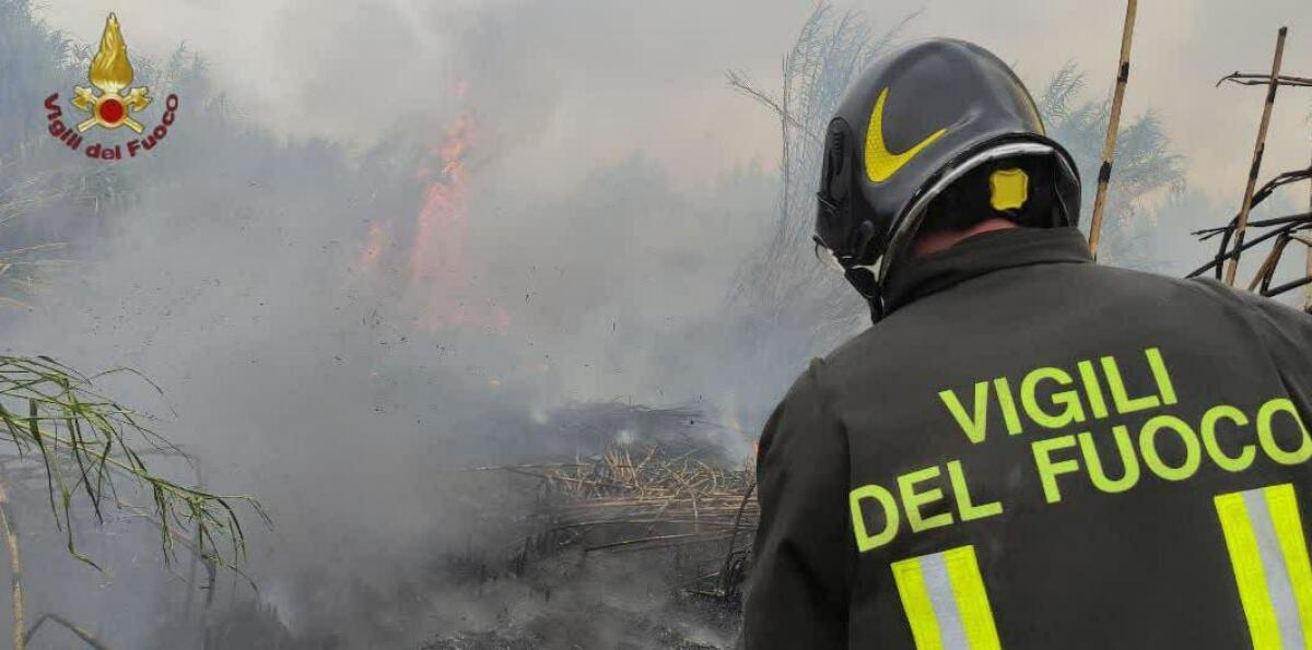 Vasto incendio in un’area boschiva tra via  Romagnoli e via Campo Verde, a Pomezia. - 