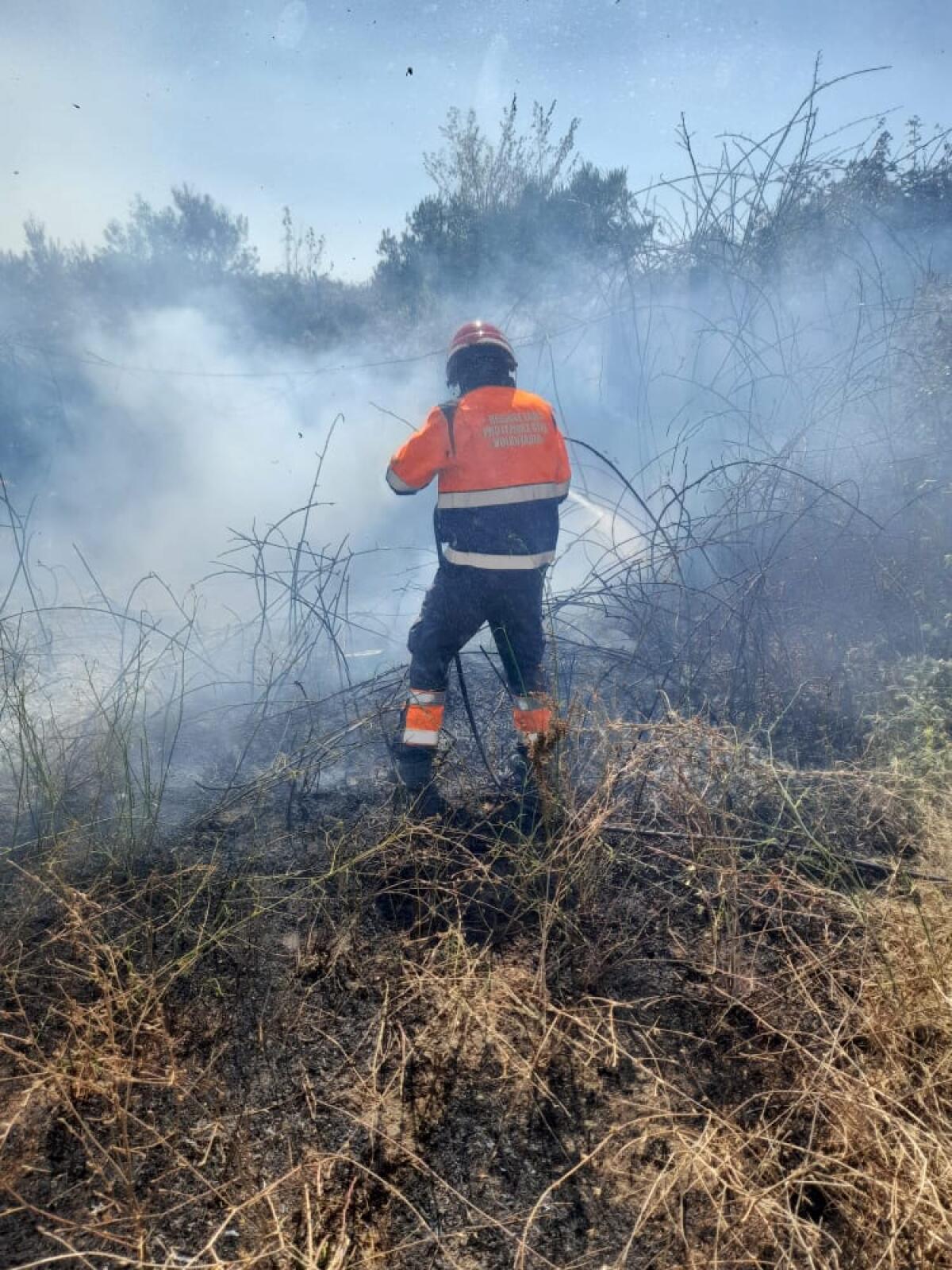 Vasto incendio in via della Selvotta, a Genzano, in zona Monte Giove: uliveto in fiamme a ridosso di un agriturismo. Le FOTO - 