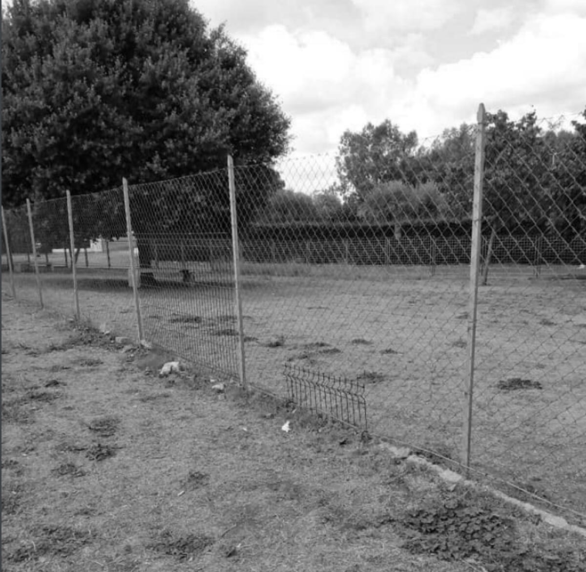 "Bau Park di Aprilia Nord in stato di abbandono" - 