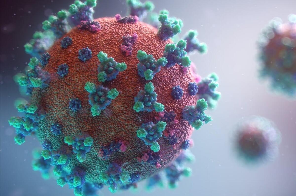 Coronavirus, nel Lazio 301 positivi, 5 decessi e 936 guarigioni - 