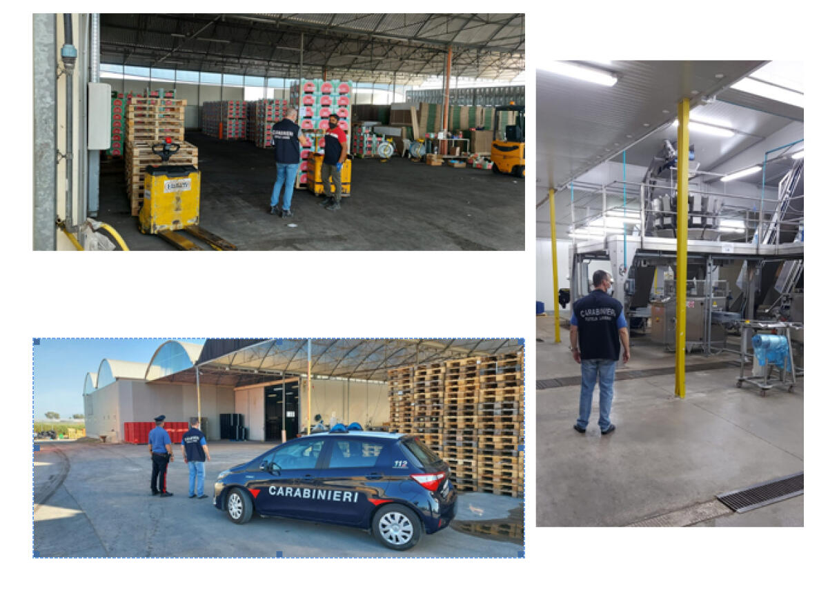 Contrasto al Caporalato, controlli a tappeto in Provincia di Latina - 