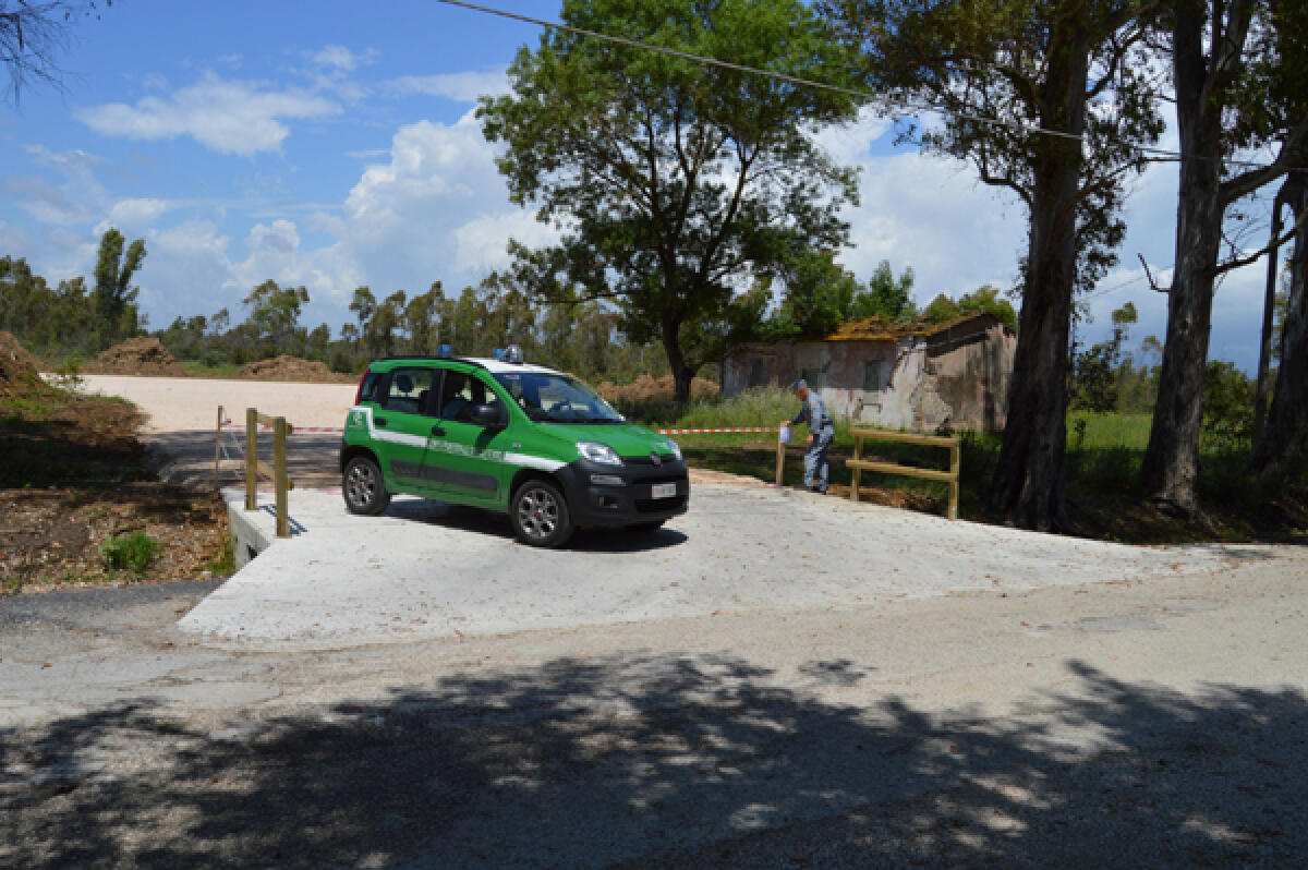 Ulteriori 2,5 mln euro dalla Regione per ecosistemi forestali del Lazio - 