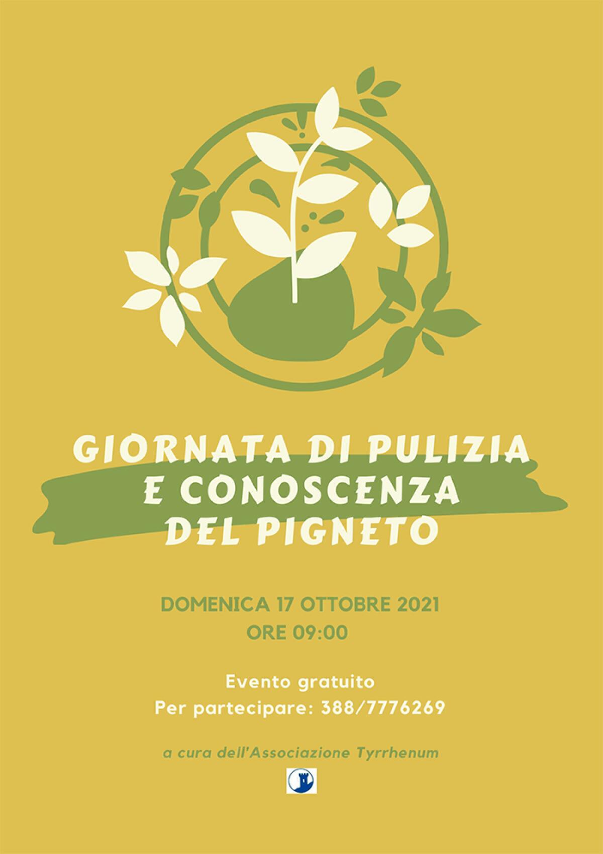 Domenica 17 Ottobre una giornata alla pulizia e alla conoscenza del Pigneto con l’associazione Tyrrhenum. - 