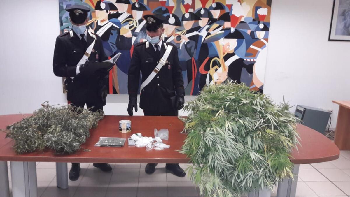 Sequestrati dai Carabinieri di Aprilia, nella zona di Lavinio, quasi 15 chili di marijuana. Arrestato un 53enne. - 