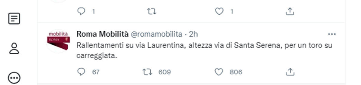 “Rallentamenti sulla Laurentina per un toro su carreggiata”. Sul web si scatena l’ironia. - 