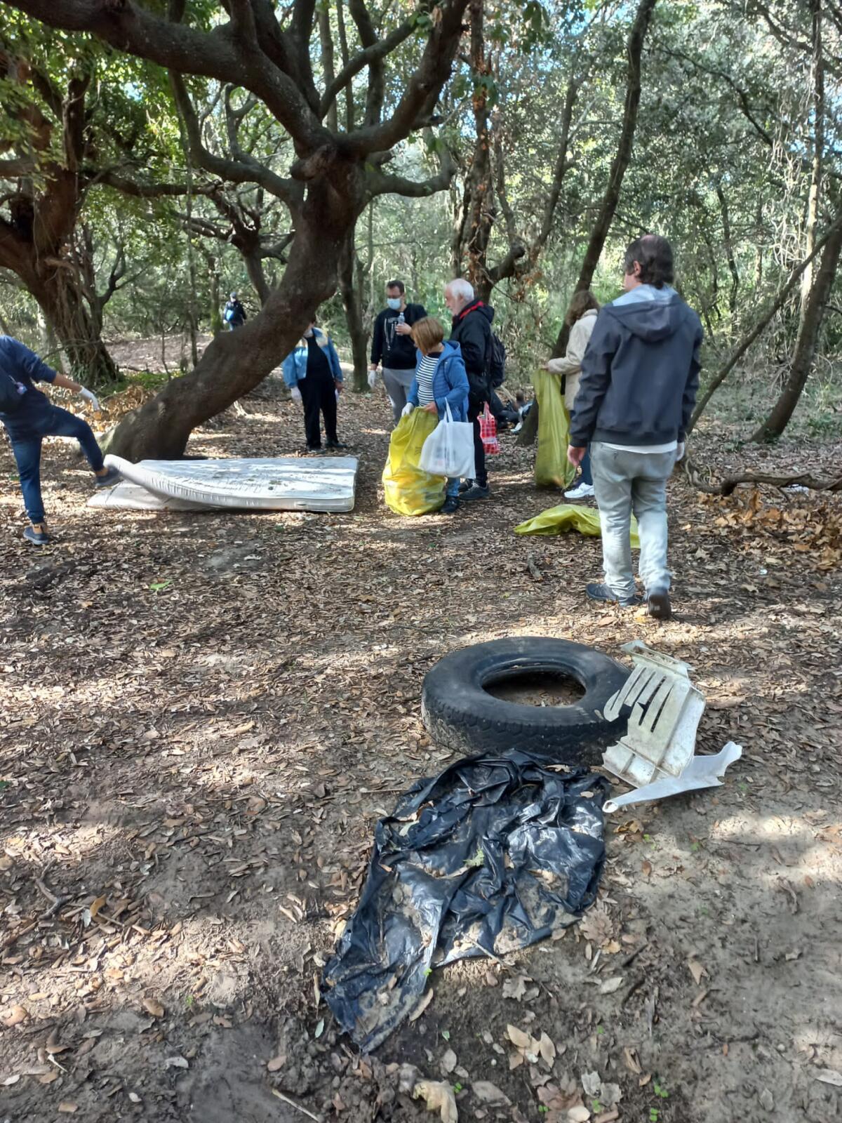 POMEZIA - Successo per la giornata di pulizia e conoscenza del bosco del Pigneto organizzata dall’associazione Tyrrhenum. FOTO - 