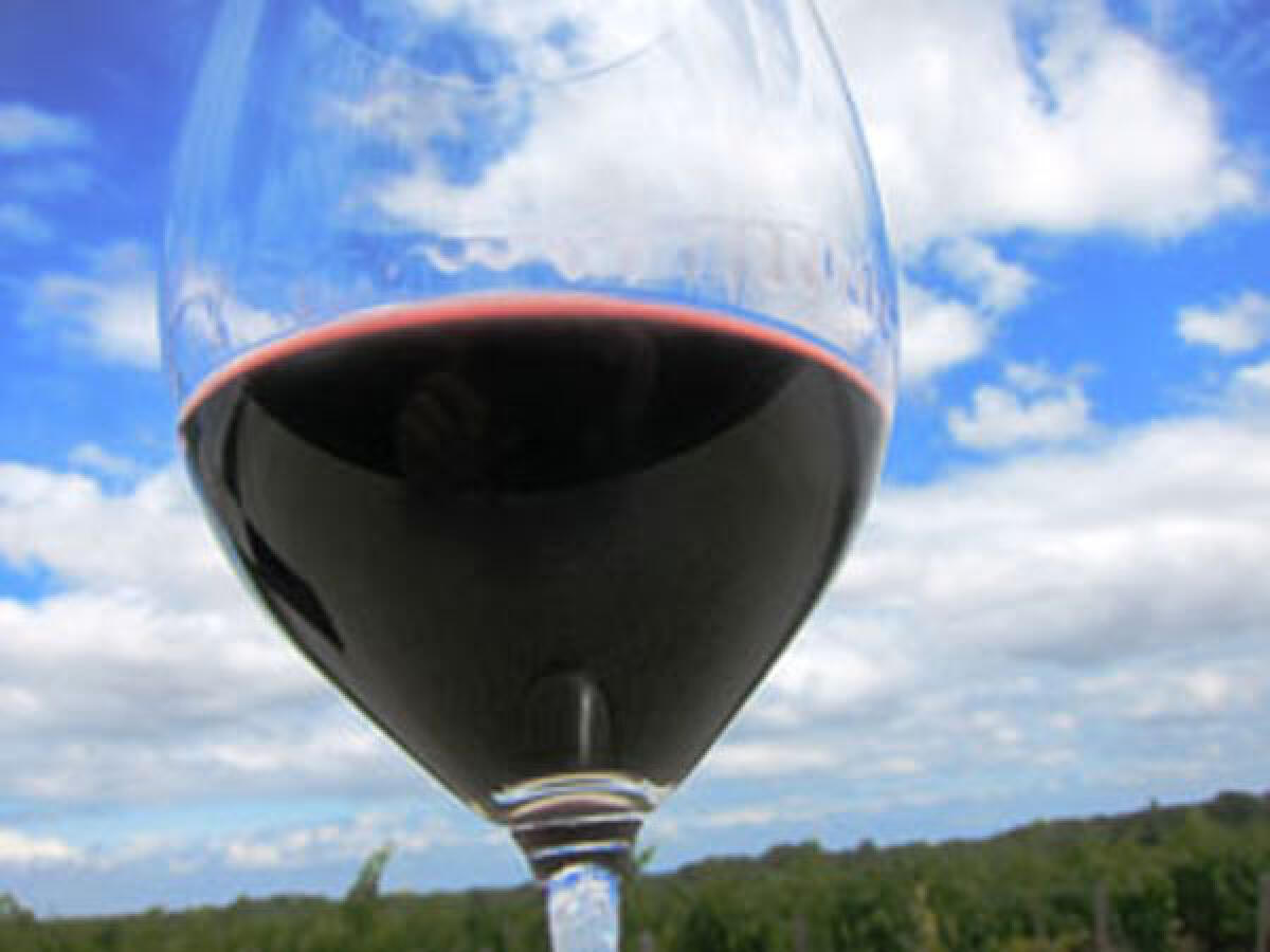 Dalla Regione Lazio oltre un milione di euro per la misura investimenti dell’Organizzazione Comune Mercato Vino. - 