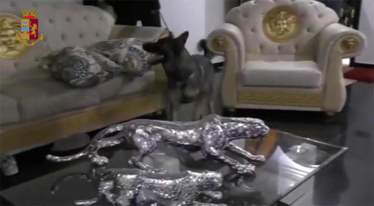 Operazione “Scarface” della Questura di Latina: scattano 33 misure cautelari. Ipotizzato un nuovo sodalizio riconducibile ai Di Silvio. VIDEO - 