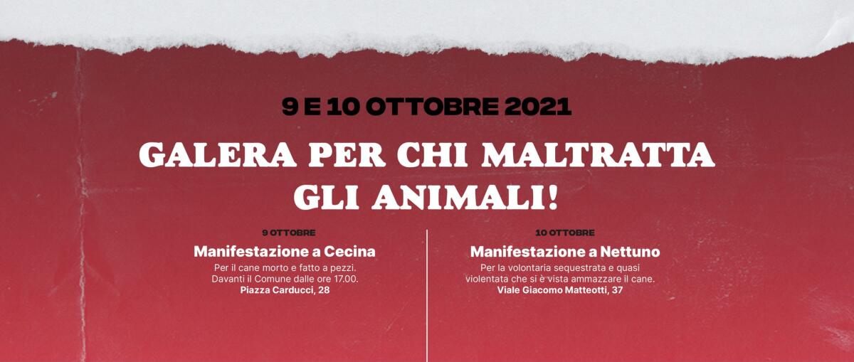Aggressione e tentativo di stupro alla volontaria dell'Arca di Rita a Nettuno: sit-in davanti al Comune domenica 10 ottobre - 