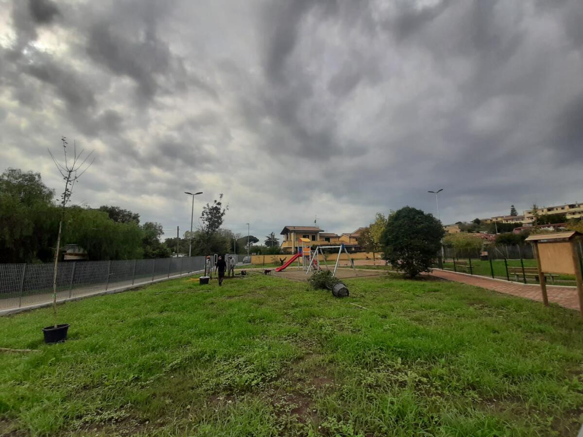 Verde a Pomezia, si va verso la Giornata Nazionale degli Alberi 2021 - 