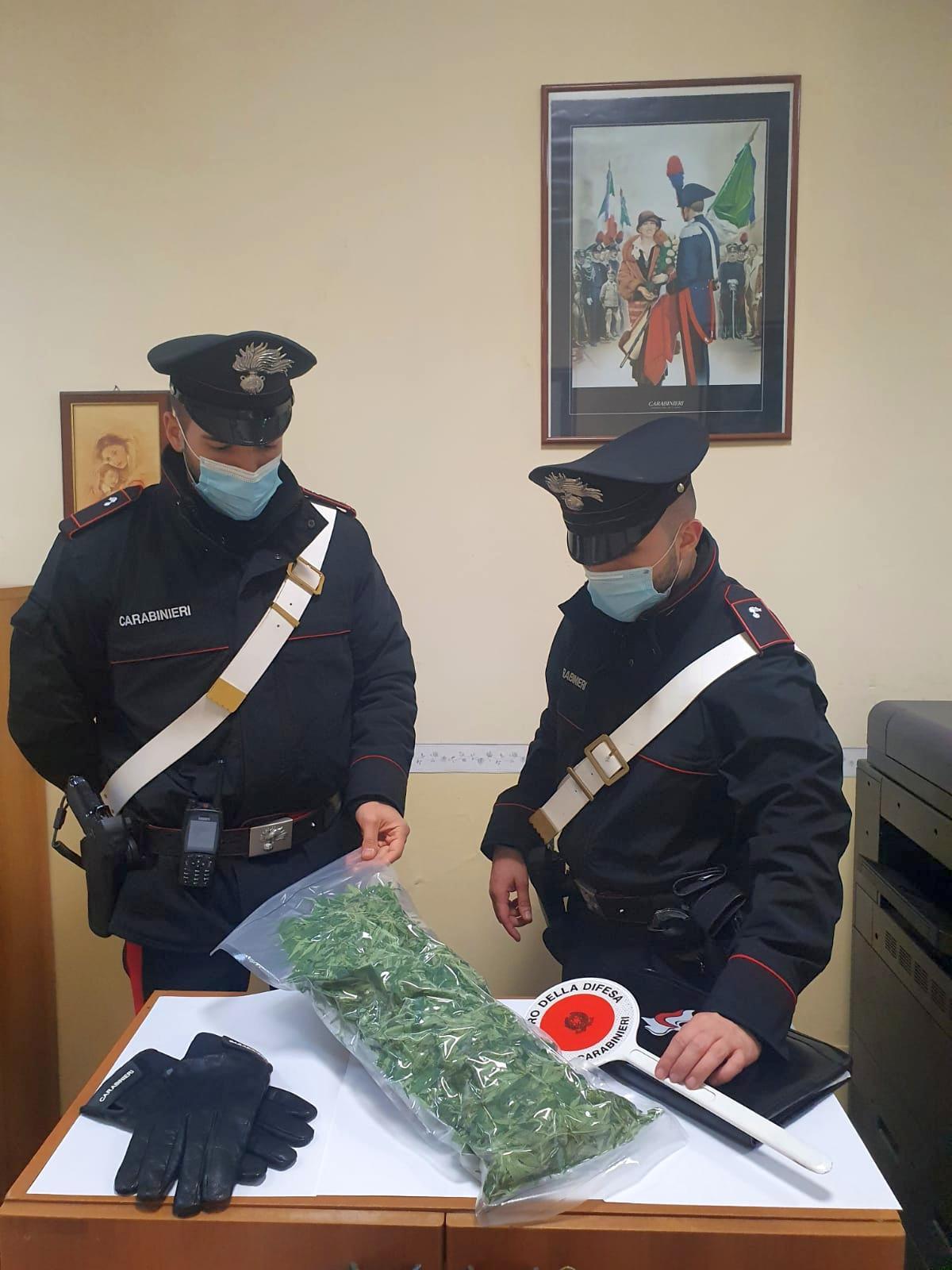 Si fotografa sui social network con piante di marijuana. 36enne arrestato dai carabinieri di Pomezia - 