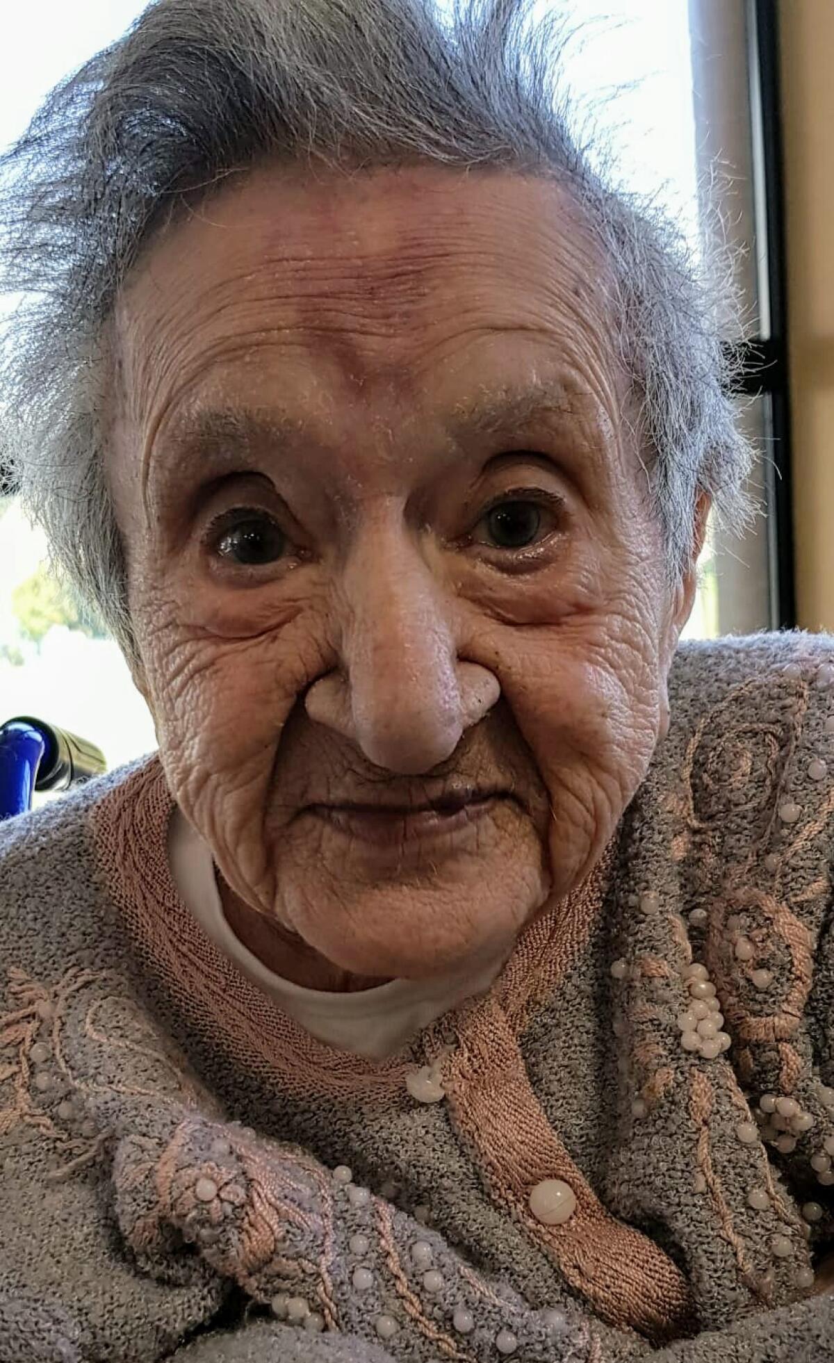 Albina Chirico festeggia i suoi 100 anni presso la rsa San Michele Hospital di Aprilia - 