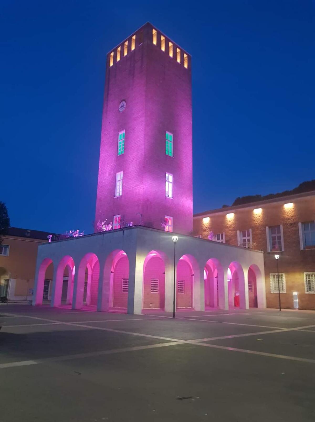 A Pomezia la Torre Civica si illumina di viola per la Giornata mondiale sul tumore al pancreas - 