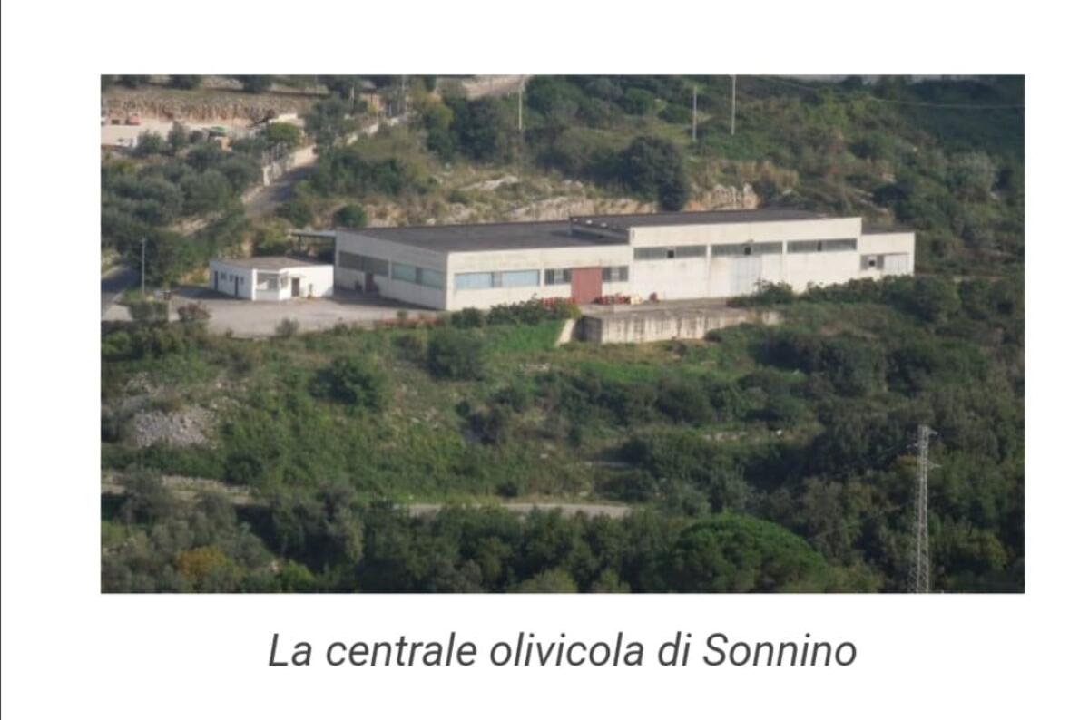 XIII Comunità Montana: pubblicato il bando per la gestione della centrale olivicola di Sonnino. - 