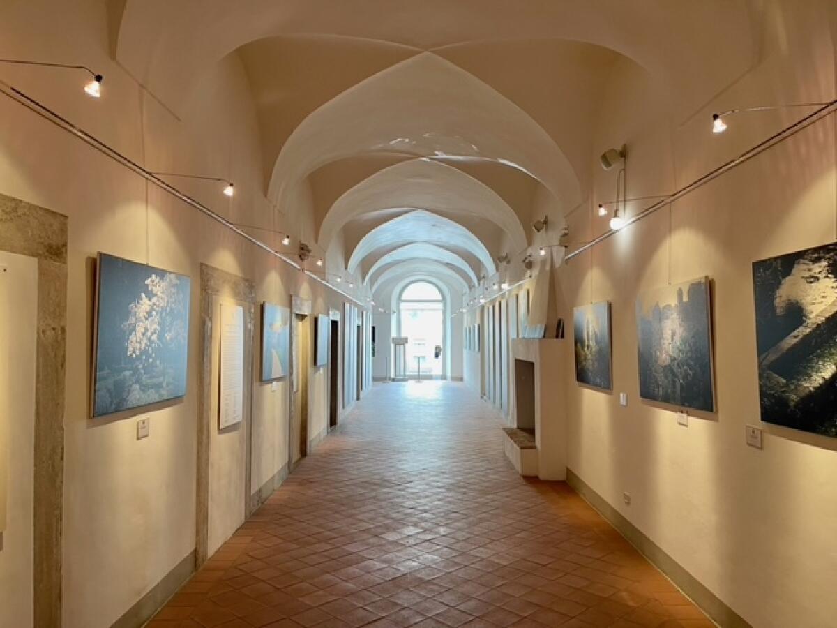 Tre mostre per celebrare la bellezza del Giardino di Ninfa nel complesso monumentale di Tor Tre Ponti a Latina. - 