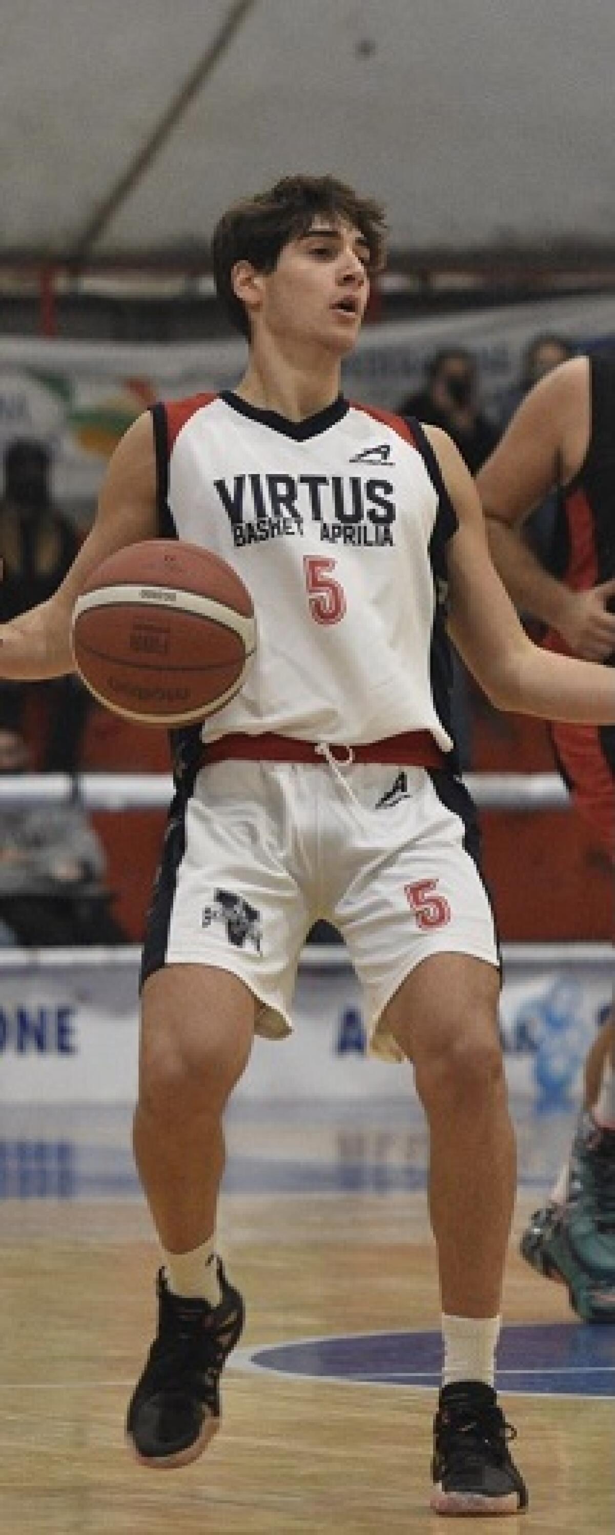 Basket maschile serie C Gold: la Virtus Basket Aprilia oggi attesa dal Colleferro. - 