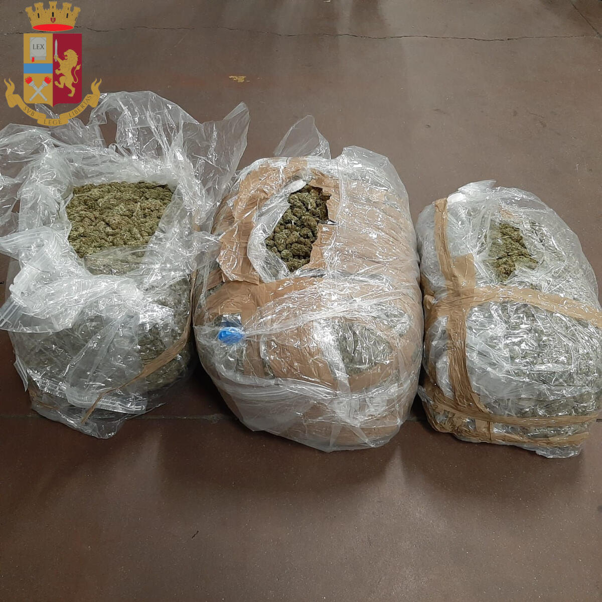Servizi antidroga nella Capitale, 8 arrestati Sequestrata cocaina hashish e marijuana - 
