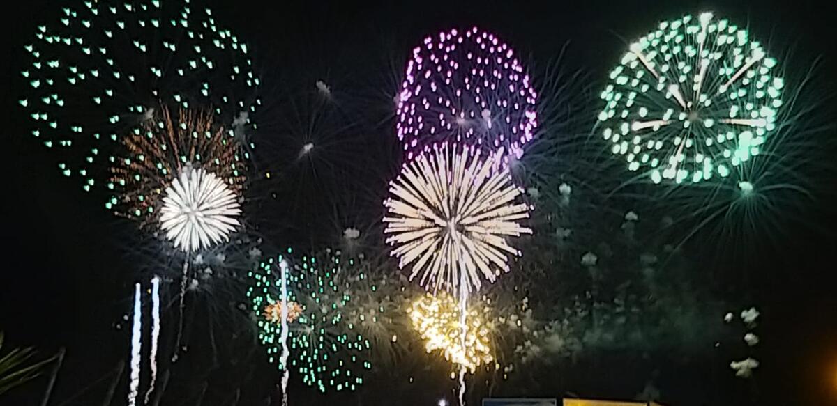 Botti di Capodanno, il video-decalogo Oipa per proteggere cani e gatti - 