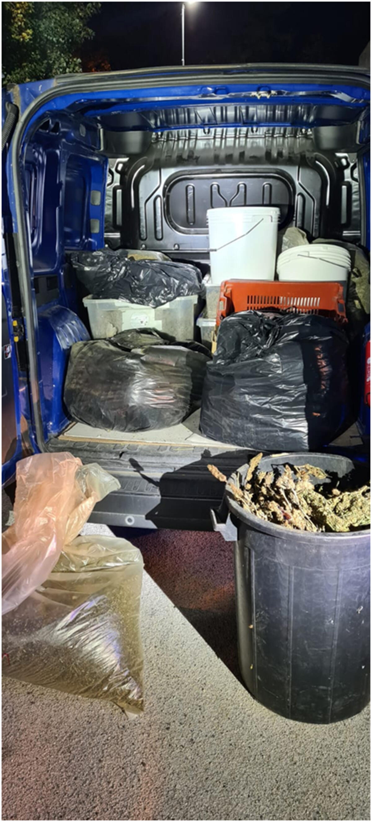 60 chili di marijuana nascosti in un capannone a Borgo Podgora: in arresto 2 persone FOTO - 