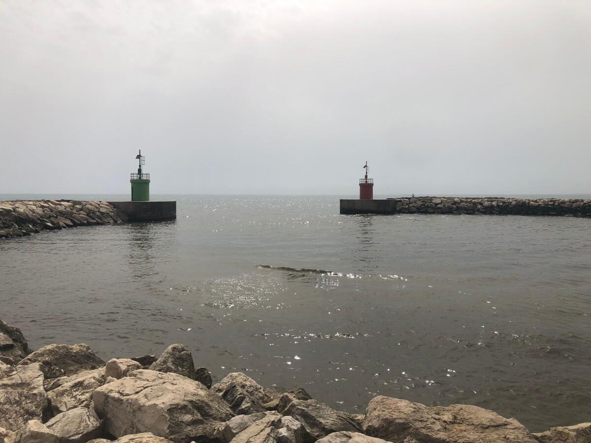 Adriana Calì: "Per garantire la navigabilità di Rio Martino in tempi brevi occorre intervento in urgenza" - 