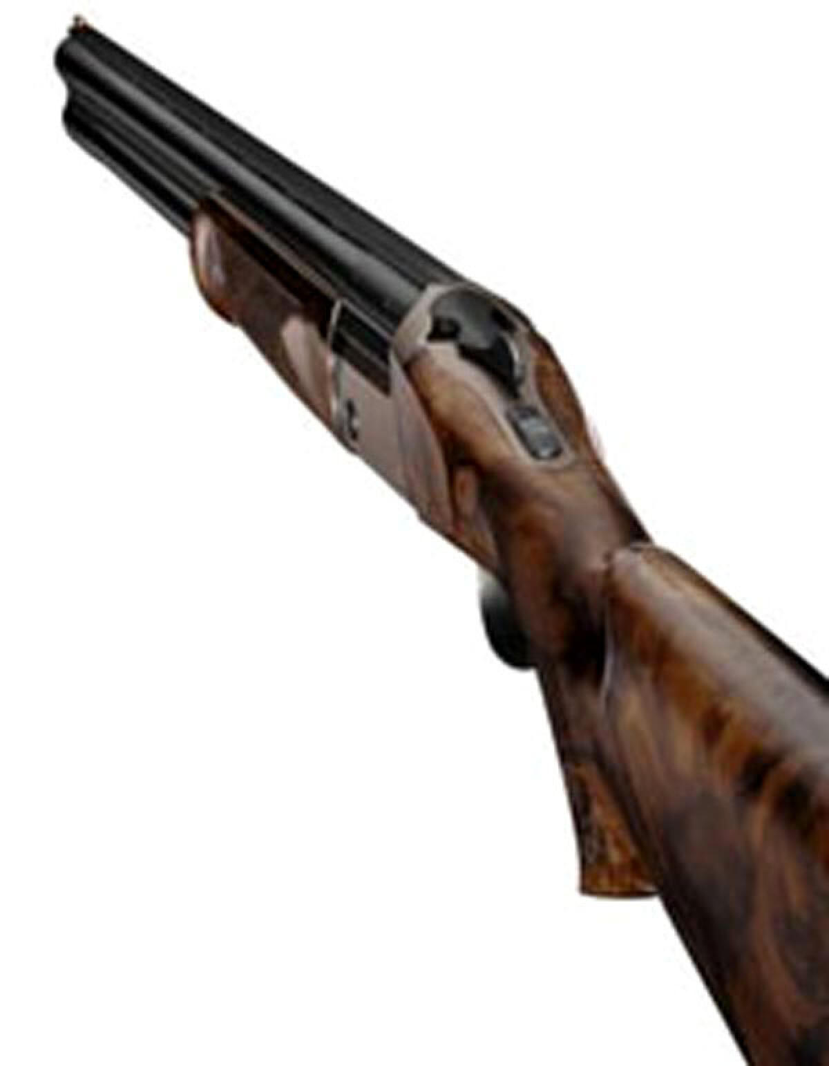 Gli uccide il cane e viene colpito alle gambe: sequestrate le armi. Accertamenti in corso a Borgo Podgora - 