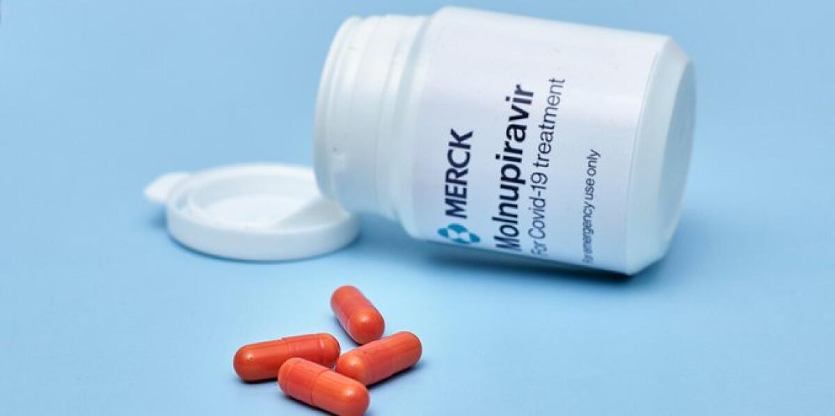 Coronavirus, nel Lazio iniziata somministrazione della pillola della Merck. Il bollettino del 4 gennaio: "9.377 casi, 16 decessi e 1.500 guariti" - 