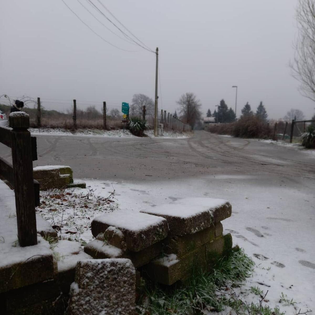 Arriva la neve ai Castelli, imbiancati i Pratoni del Vivaro - 