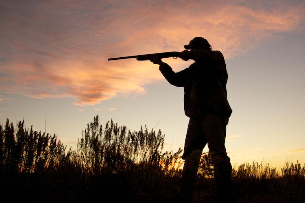 Si chiude la stagione di caccia, WWF: "Troppe ancora le irregolarità" - 