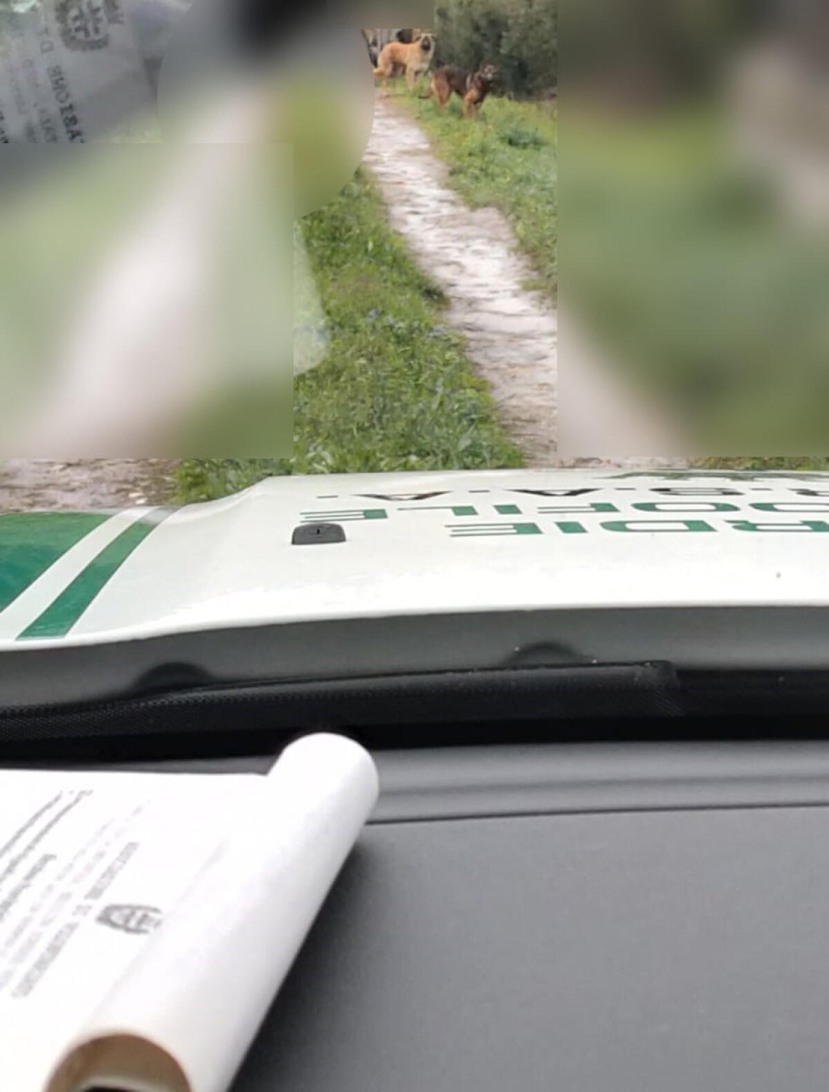 Albano - Insulta e minaccia gli operatori Norsaa che volevano controllare i suoi cani: denunciato - 