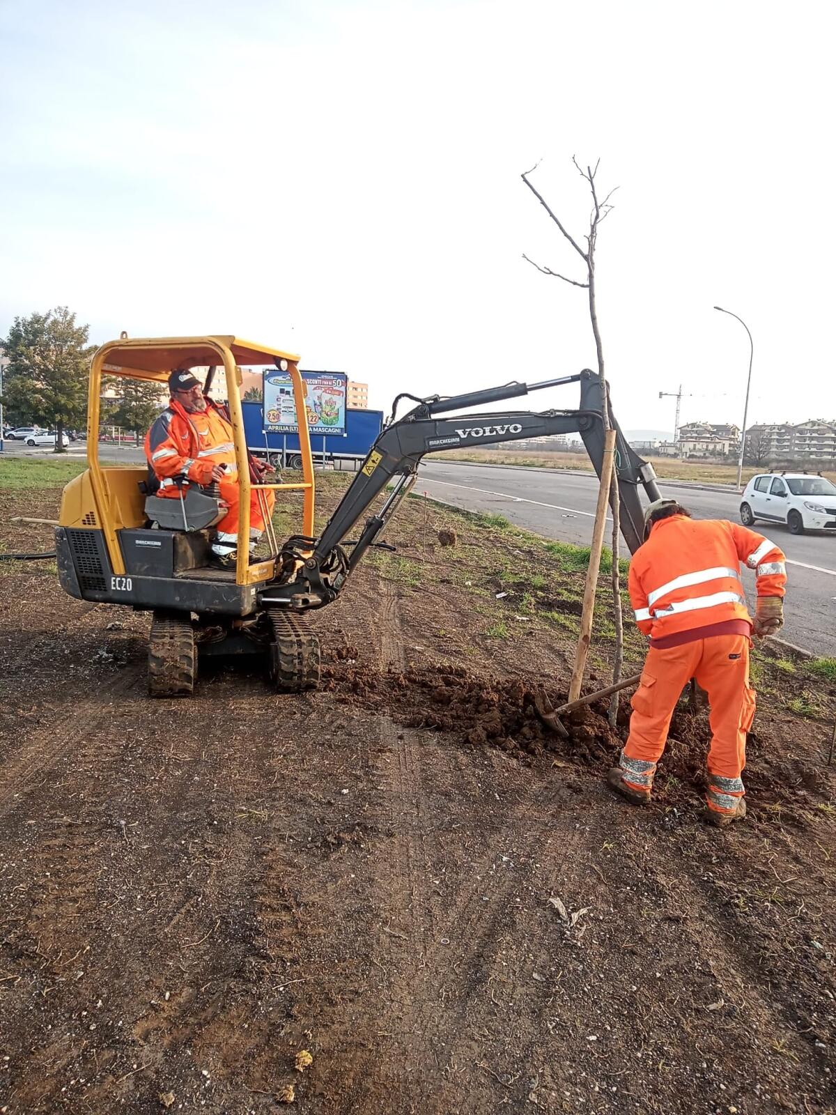 Progetto Ossigeno ad Aprilia, piantati alcuni alberi in via La Malfa - 