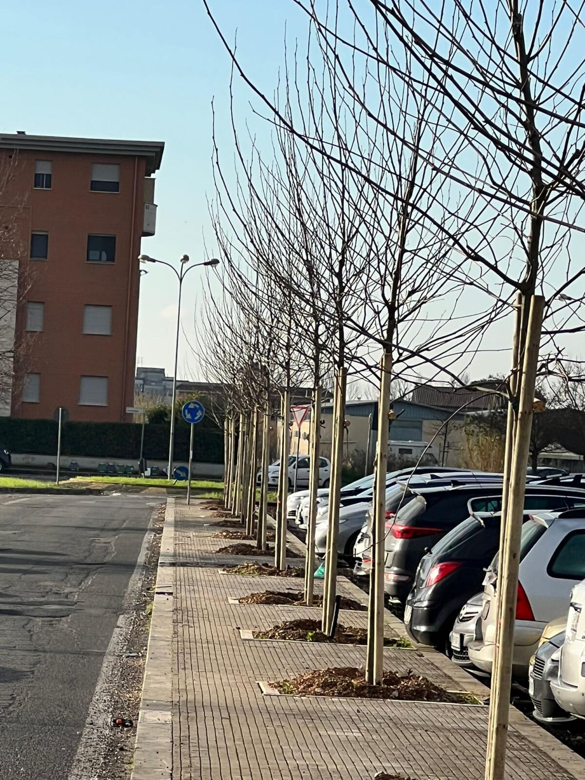 Progetto “Ossigeno”, terminati i lavori nel parcheggio della stazione di Latina - 