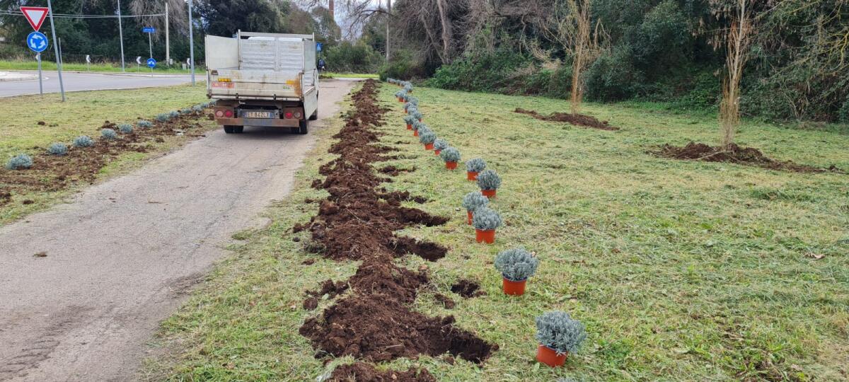 Al via la “rivoluzione verde" a Sermoneta: partita la piantumazione di quasi 3.000 nuovi alberi - 