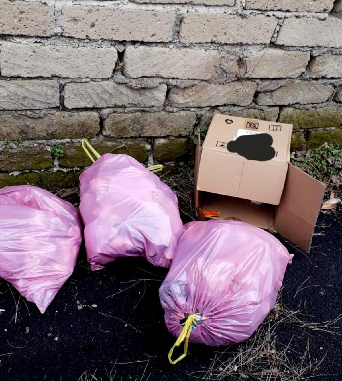 Tolleranza zero del Comune di Marino  per chi abbandona i rifiuti: multato un trasgressore. - 