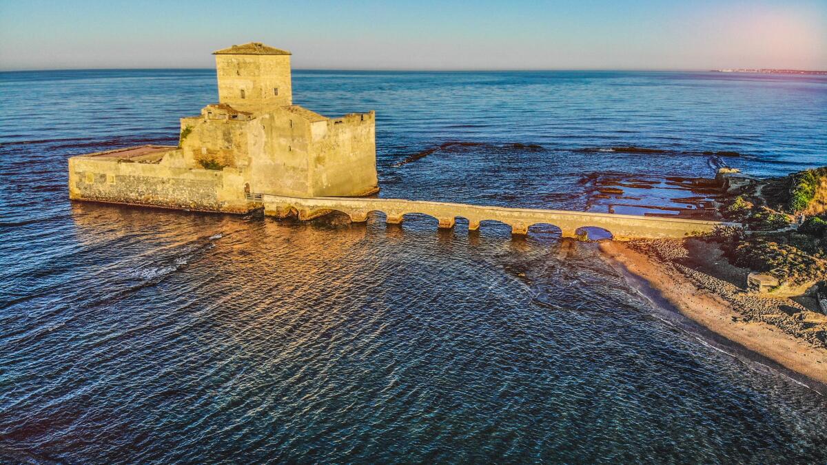Videoconferenza per il futuro di Torre Astura. La proprietà rimane alla Difesa, ma si chiede la fruizione al pubblico tutto l'anno - 