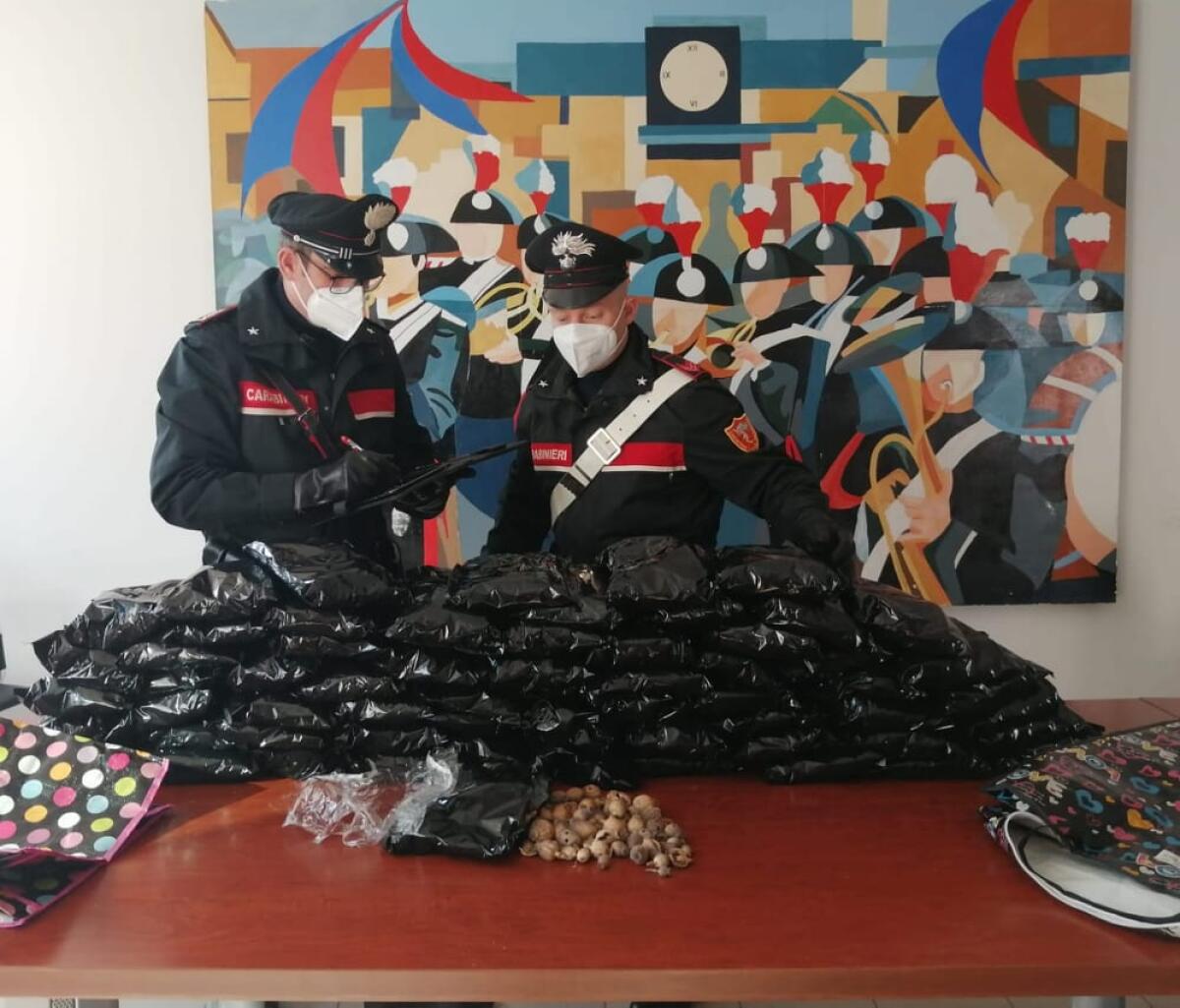 Stavano per cedere quasi 7 chili di papavero da oppio nel parcheggio di un supermercato di Aprilia: i Carabinieri arrestano 3 indiani. - 