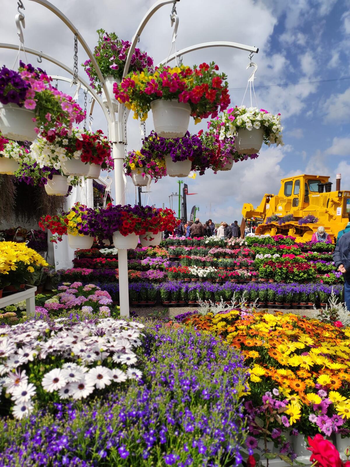 Boom di presenze alla Mostra Agricola di Campoverde che prosegue oggi e poi ancora dal 29 Aprile al Primo Maggio. Le FOTO - 