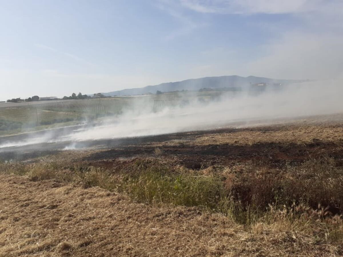Cisterna - Incendio in località Franceschetti - 