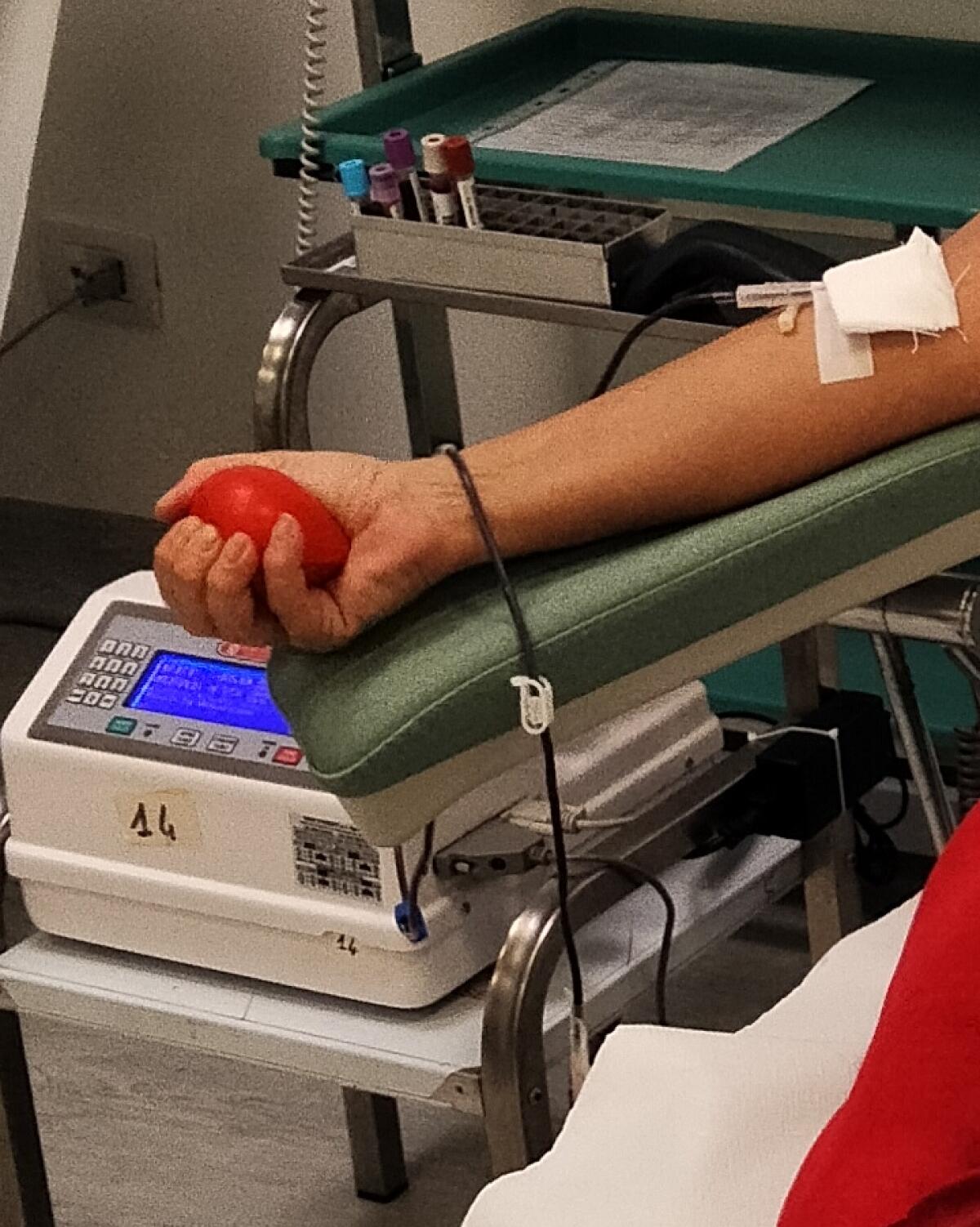 Carenza di sangue: la provincia di Latina è generosa e i giovani donano, ma ci sono problemi strutturali - 