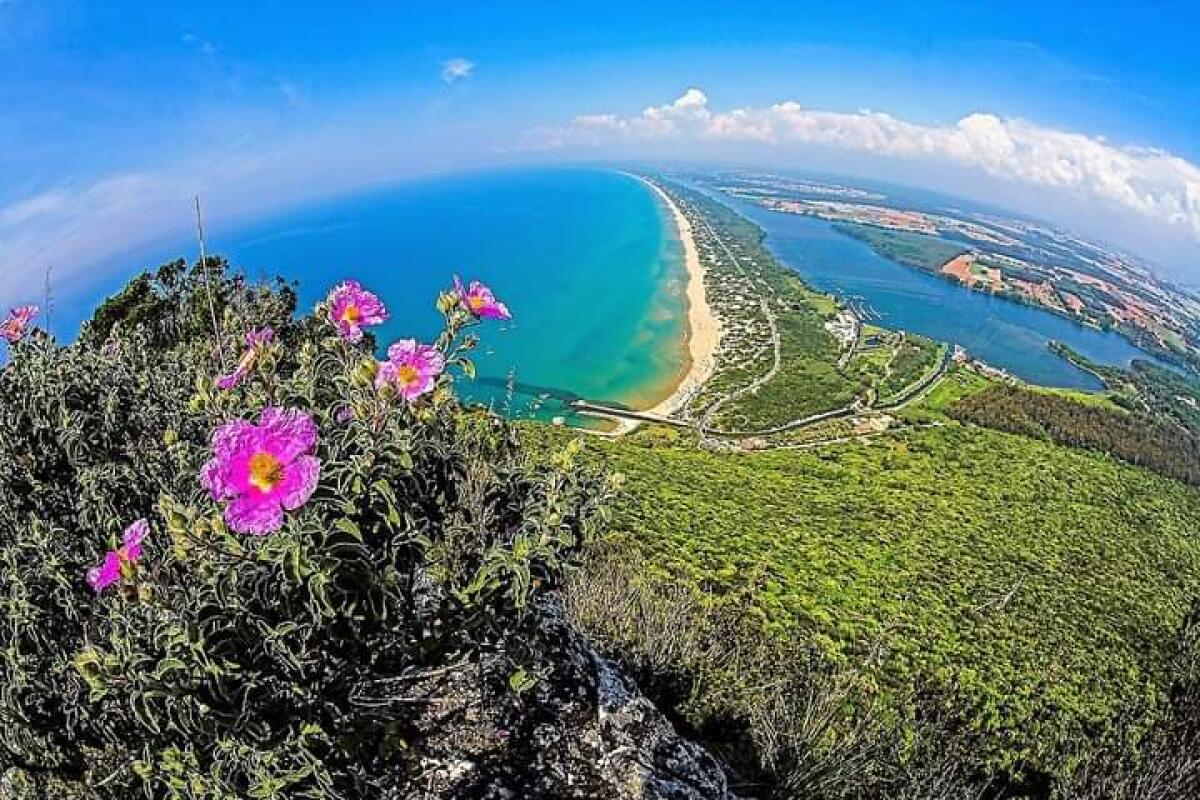 Il Picco di Circe lungo il sentiero di cresta. Escursioni domenica 8 e domenica 15 Maggio con "Sentieri Selvaggi Trekking” e “Yoga dei Luoghi”. - 