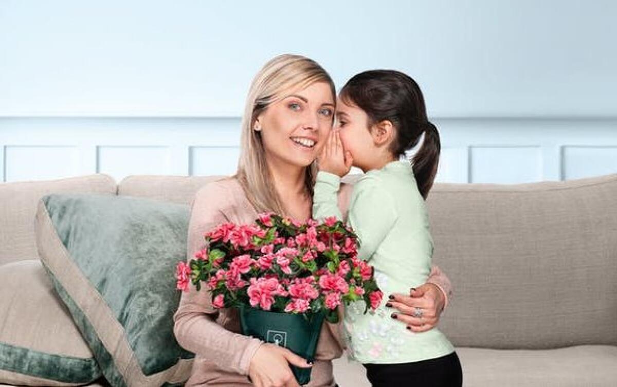 L'azalea dell'AIRC per sostenere la ricerca. A Latina in Piazza del Popolo e in Piazza Paolo VI - 