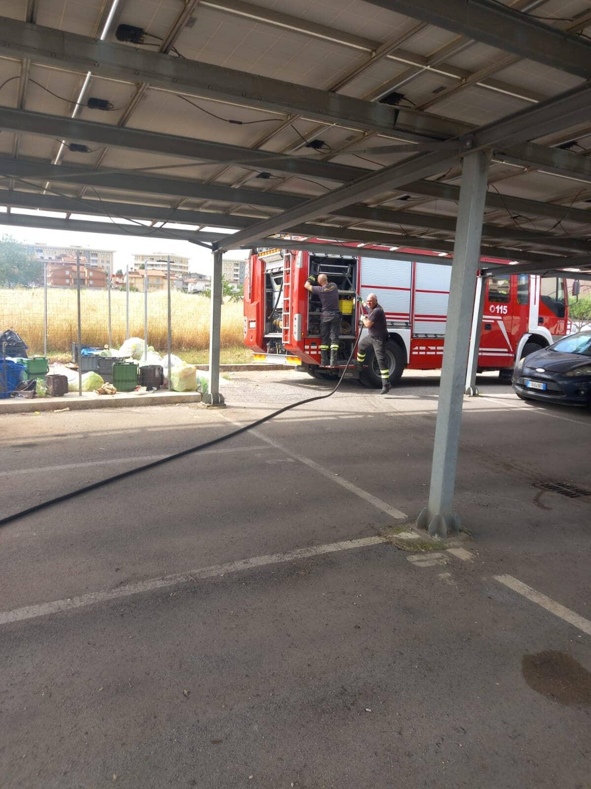 Sterpaglie in fiamme in un campo incolto di via Vanzina, ad Aprilia. Intervento dei vigili del fuoco. - 