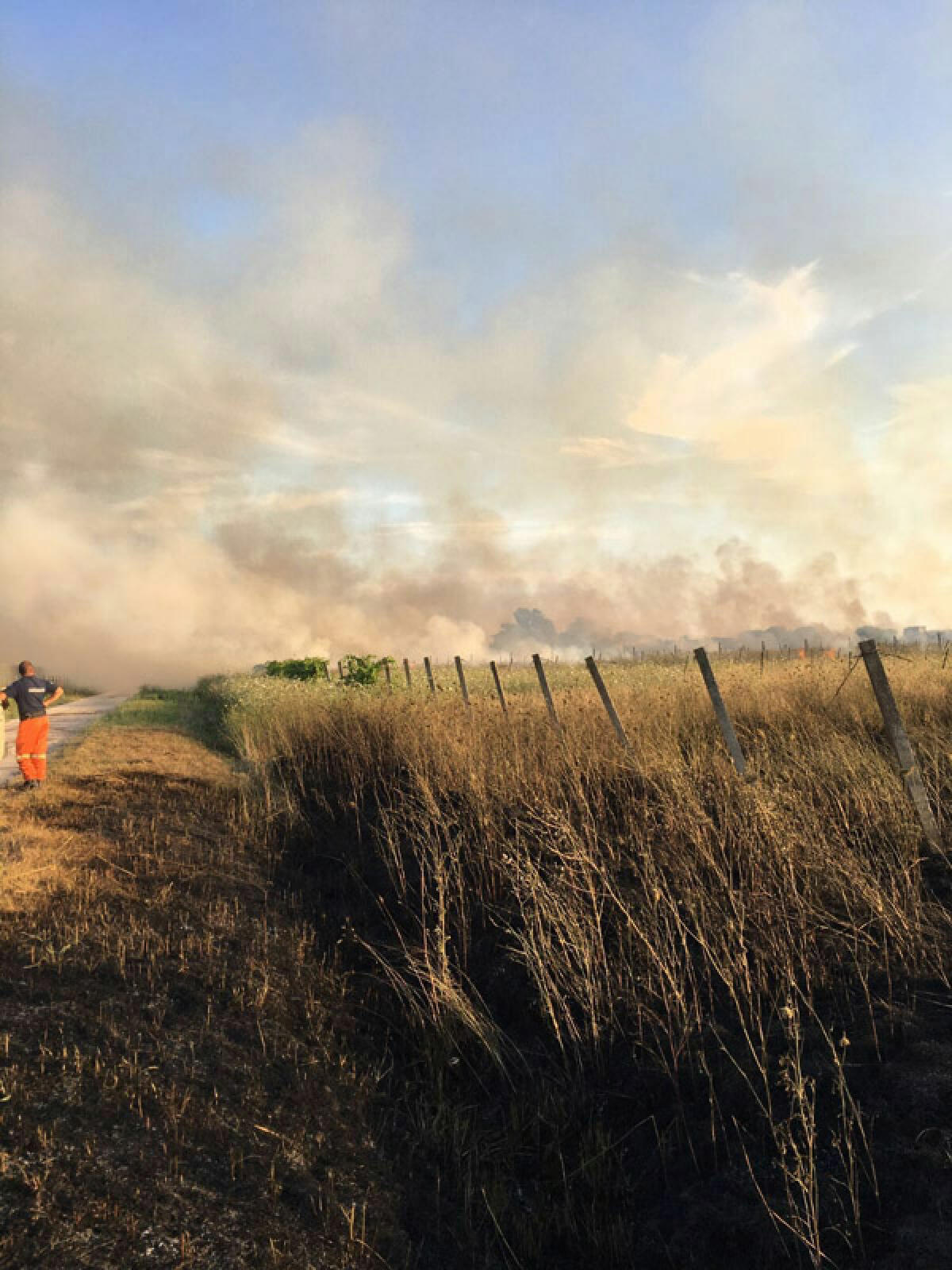 Il sindaco di Aprilia, Antonio Terra, firma un’ordinanza contro gli incendi estivi. - 
