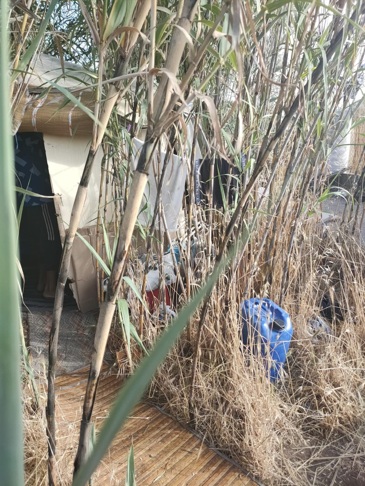 Torvaianica - Task force per smantellare il degrado vicino al campo sportivo - 