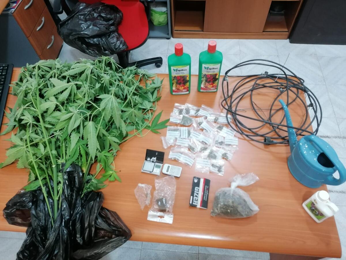 CORI - 16enne spacciatore di fumo arrestato di Carabinieri - 