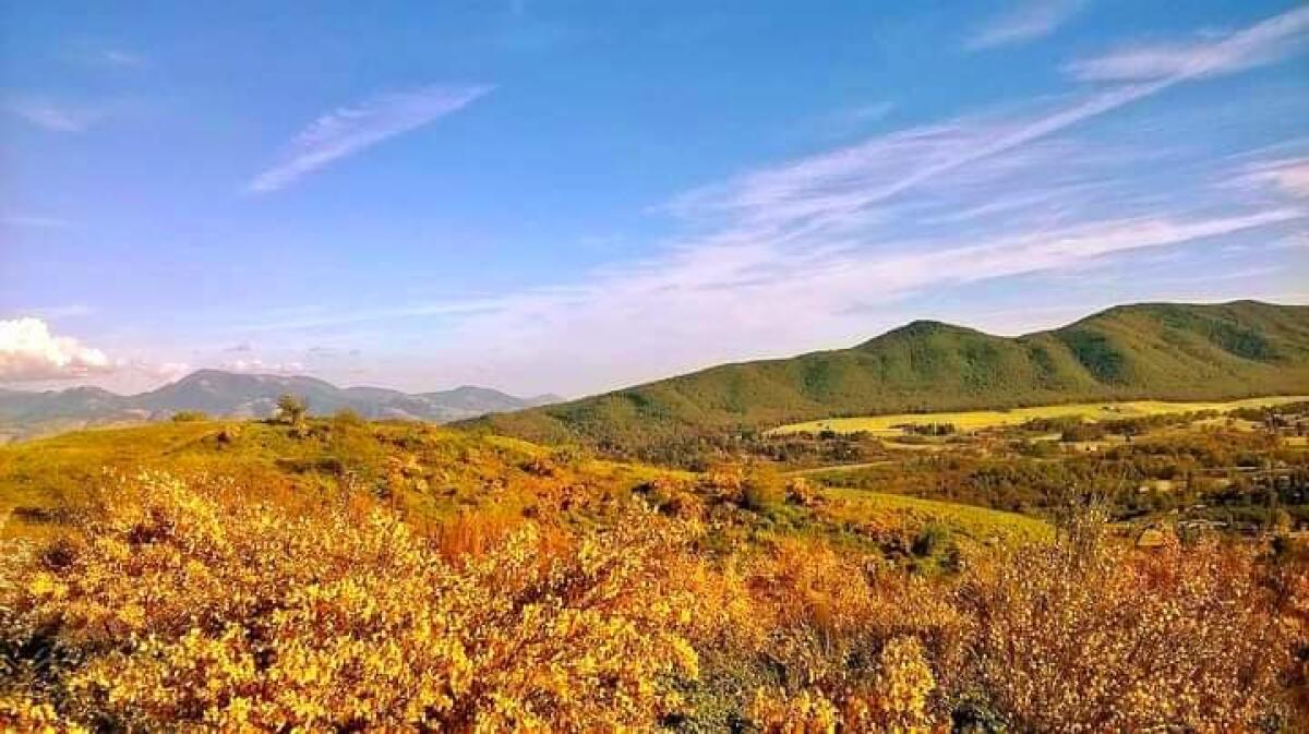 Trekking sensoriale questo giovedì 2 Giugno da Rocca Priora al fresco di Monte Fiore e picnic campestre. - 